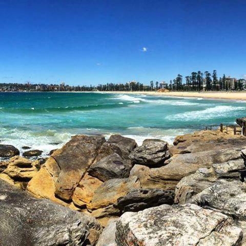 1 Bdrm Manly Beachside Apt With Parking Sydney Exteriör bild